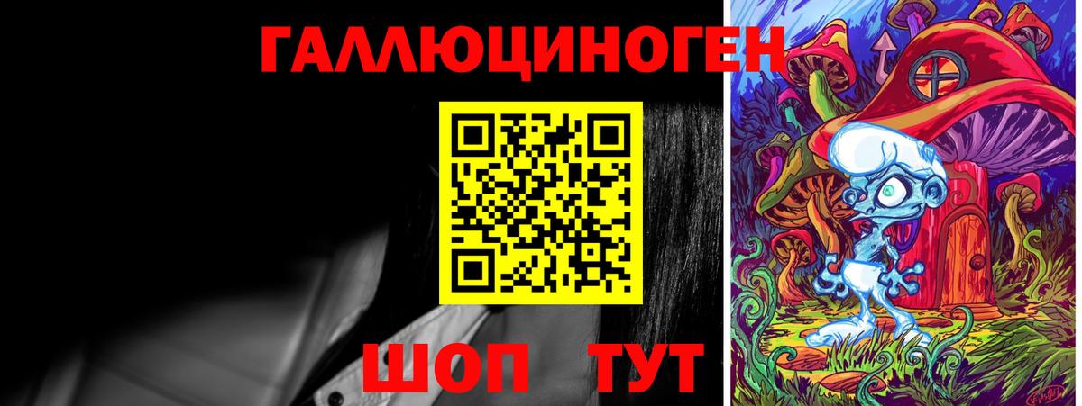 Псилоцибиновые грибы Psilocybe Ишим